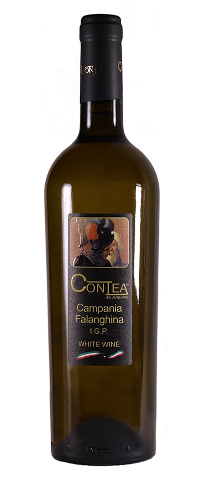 Falanghina per home page